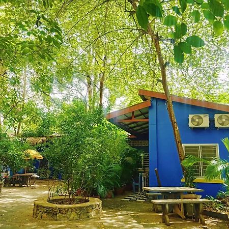 شقة The Hideout كامبوت المظهر الخارجي الصورة