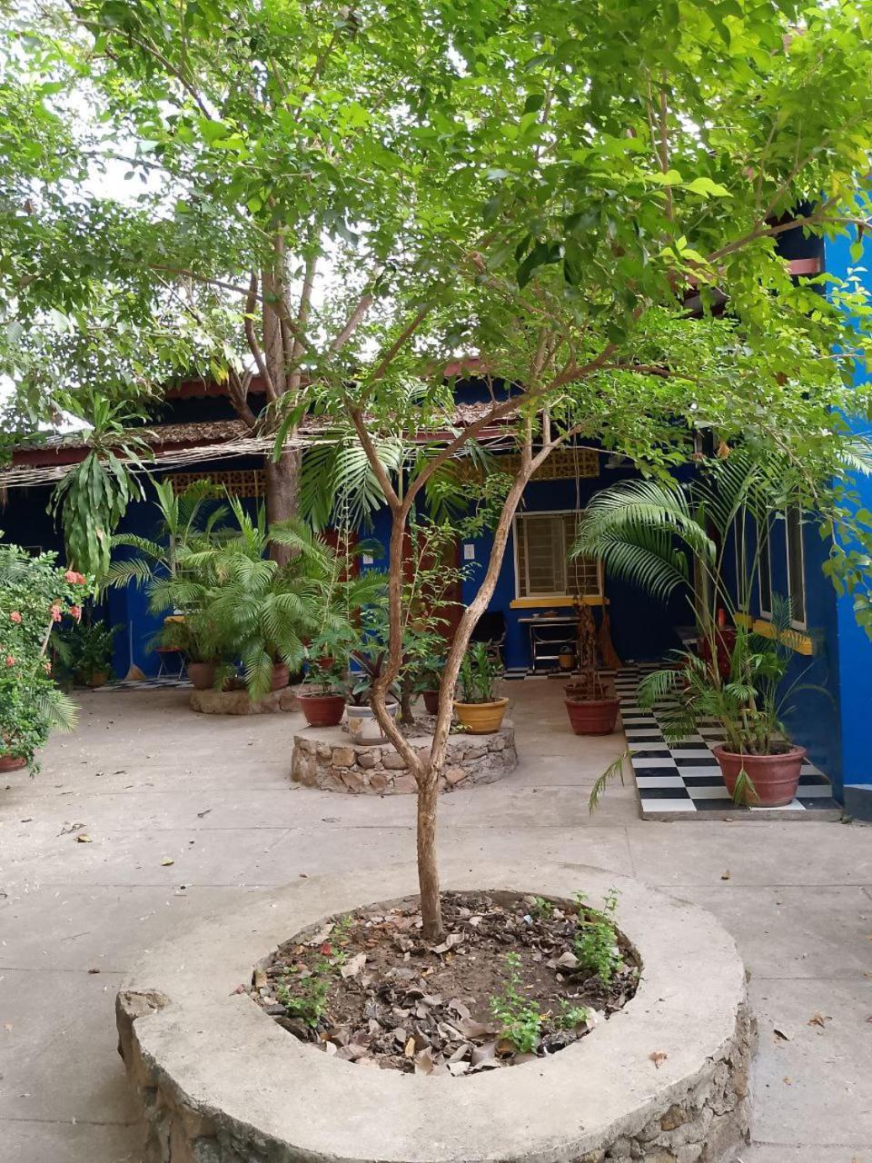 شقة The Hideout كامبوت المظهر الخارجي الصورة